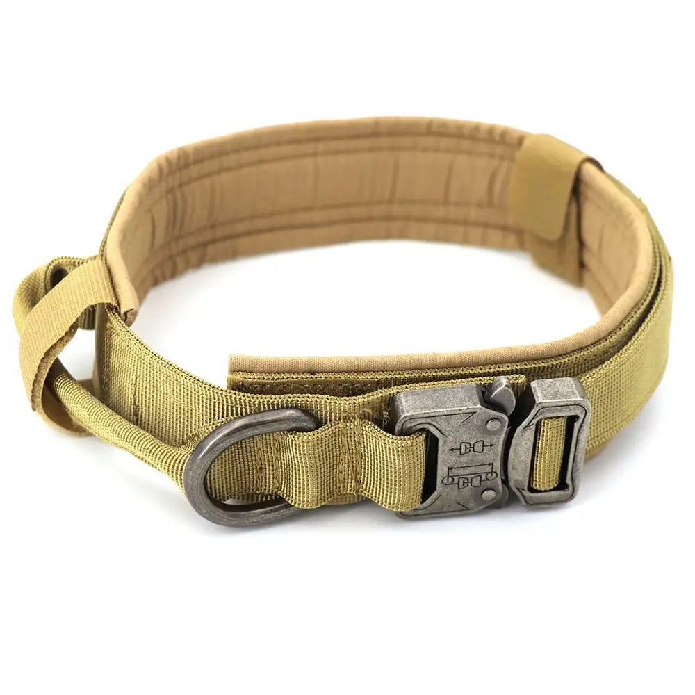 Comfort Dog Collar
