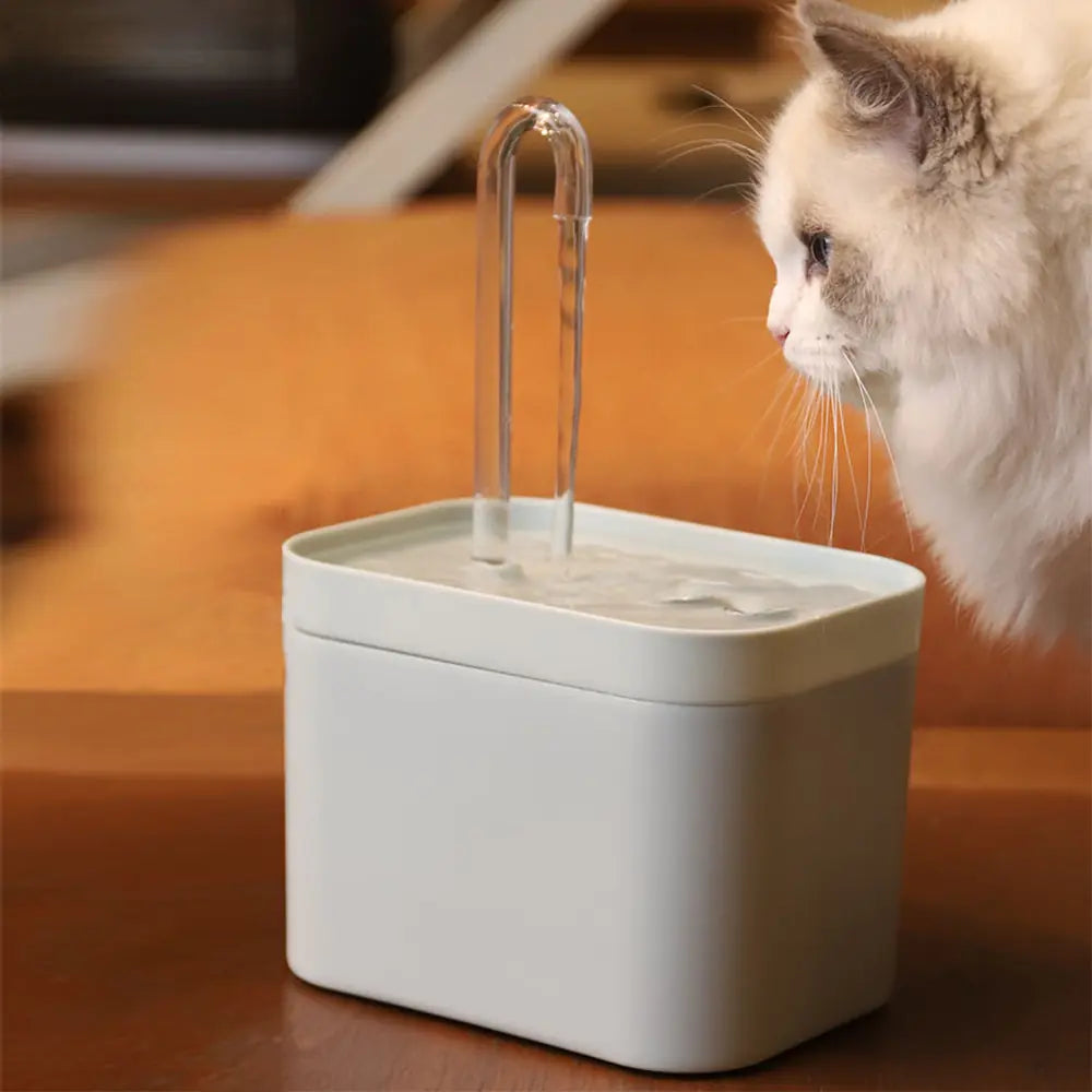 Cat Water Dispenser