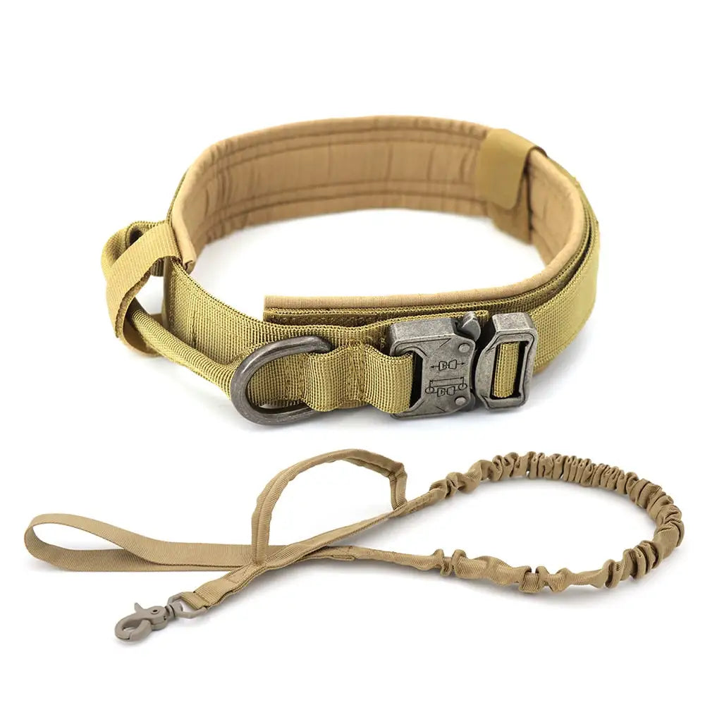Comfort Dog Collar