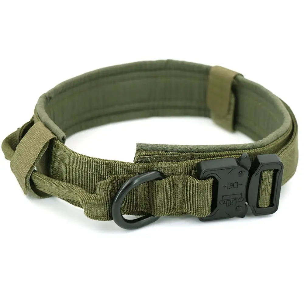 Comfort Dog Collar