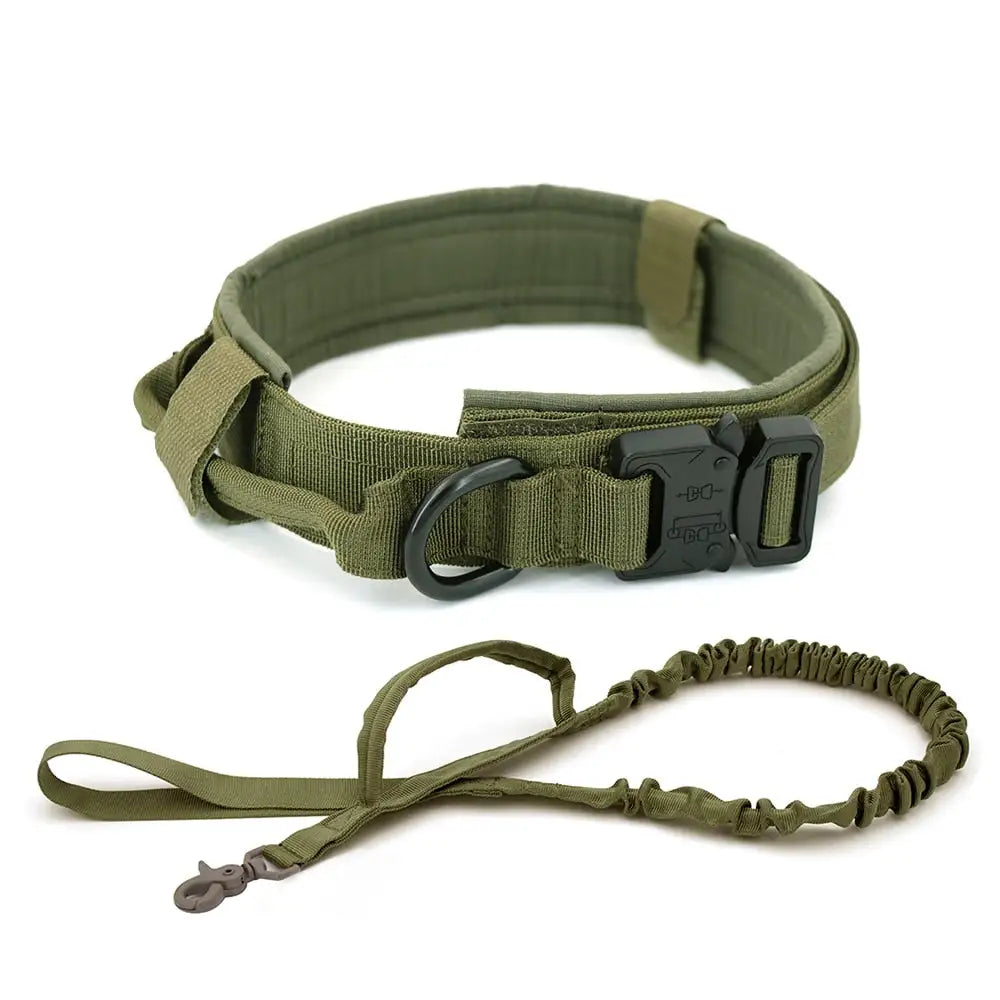 Comfort Dog Collar