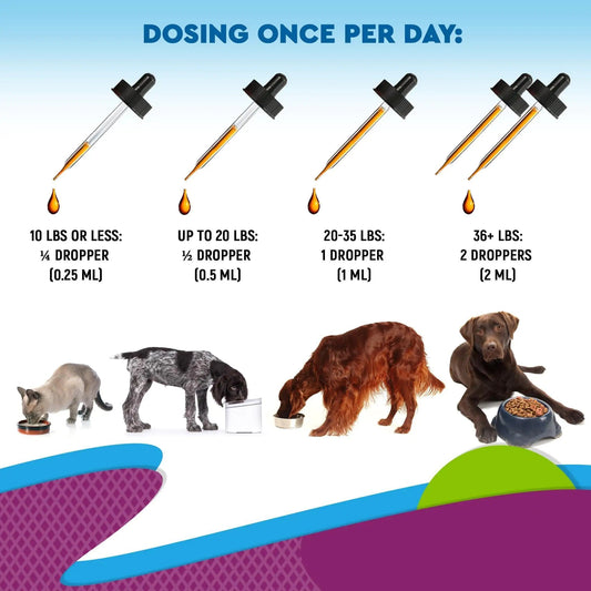 Pet Multivitamin Supplements