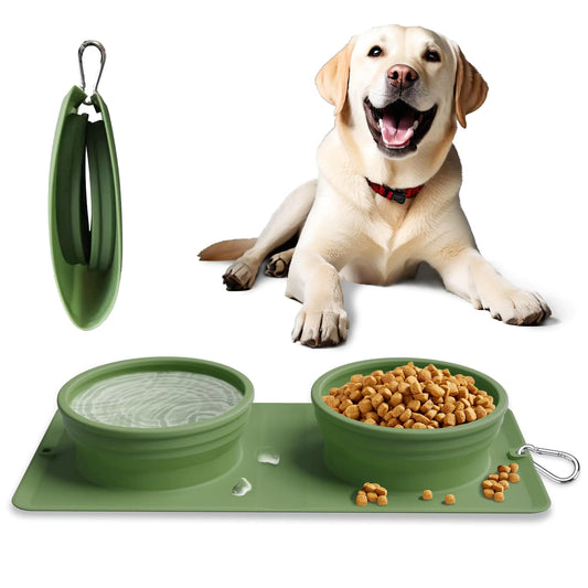 2-in-1 Silicone Dog & Cat Travel Bowl