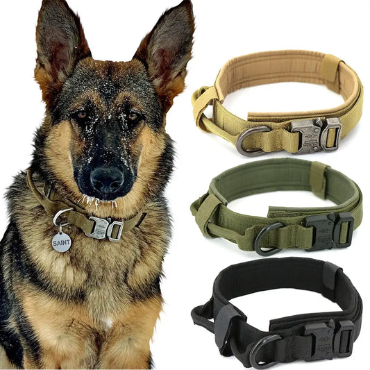 Comfort Dog Collar