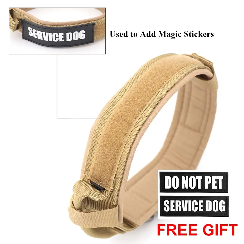 Comfort Dog Collar