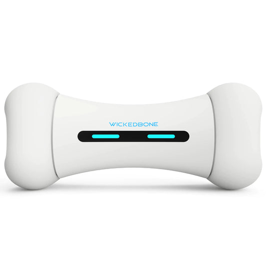 Smart Bone Interactive Pet Toy